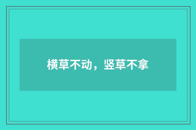横草不动，竖草不拿