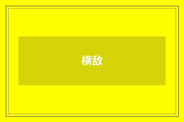横敌