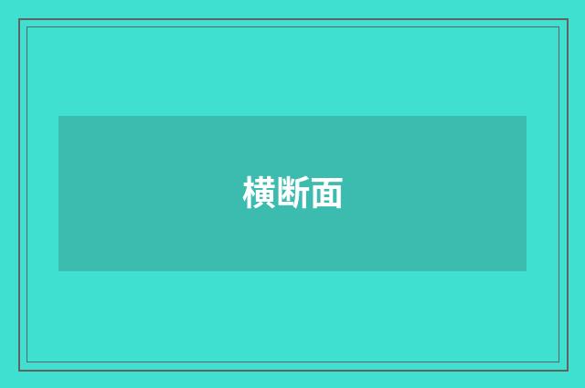 横断面