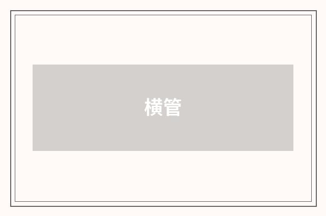 横管
