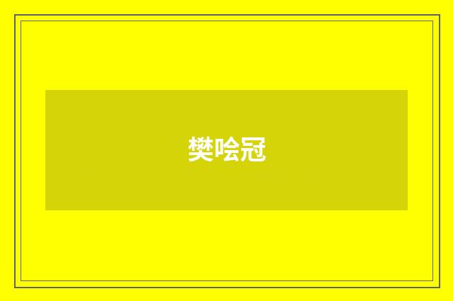 樊哙冠