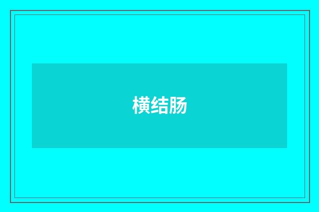 横结肠