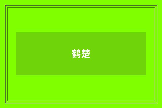 鹤楚
