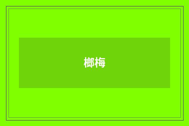 榔梅