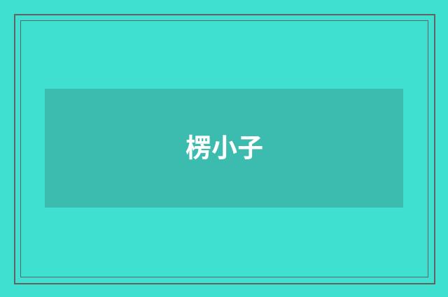 楞小子
