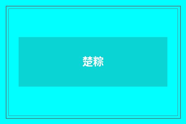 楚粽