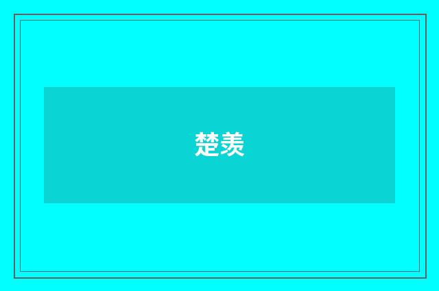 楚羡