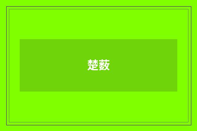 楚薮