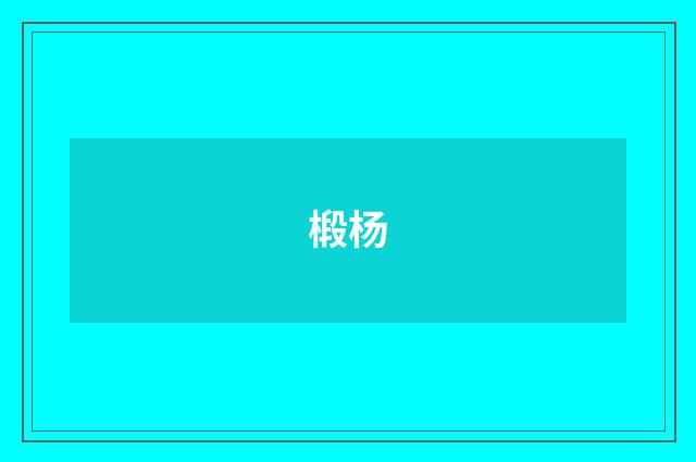 椴杨