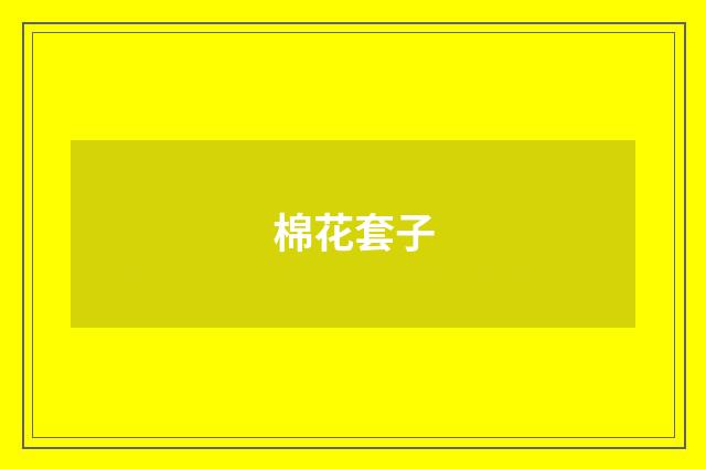 棉花套子