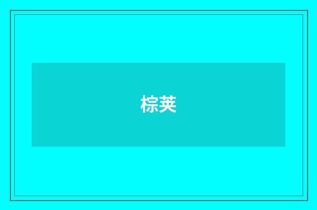 棕荚