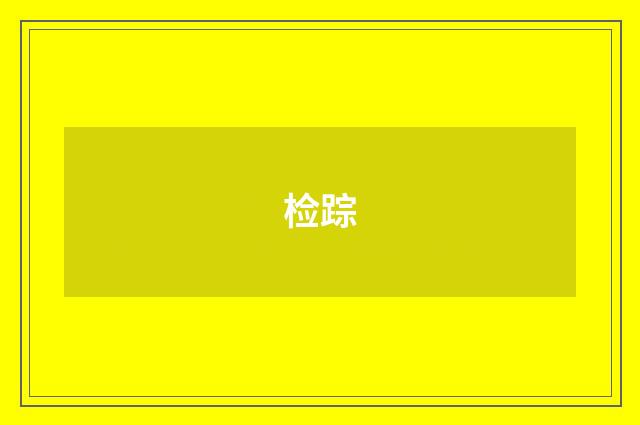检踪