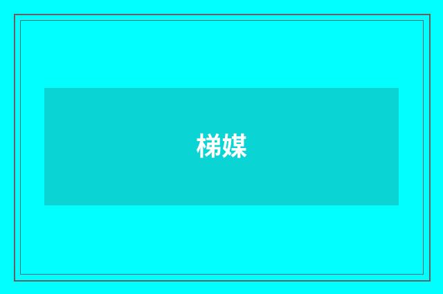梯媒