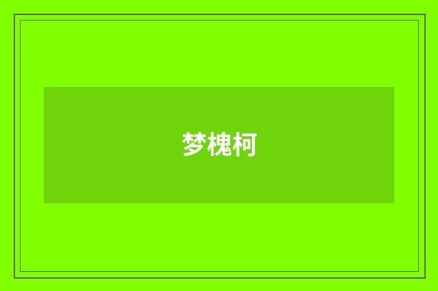 梦槐柯