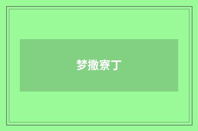梦撒寮丁