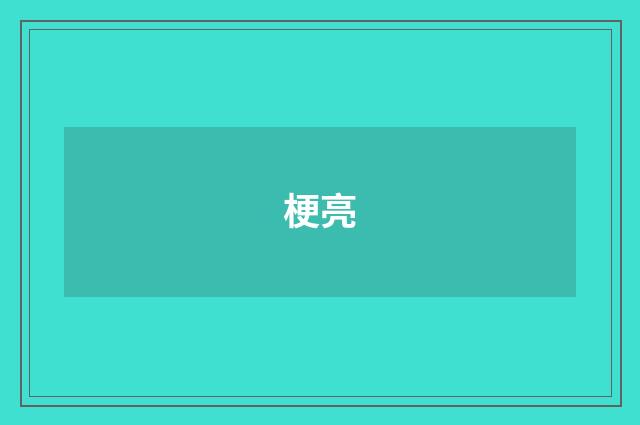 梗亮