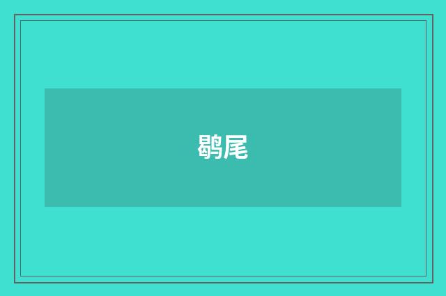 鹖尾
