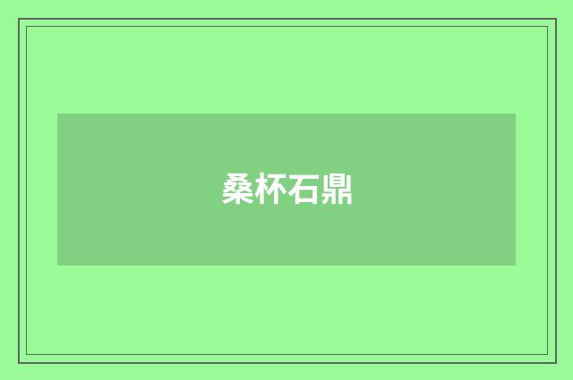 桑杯石鼎