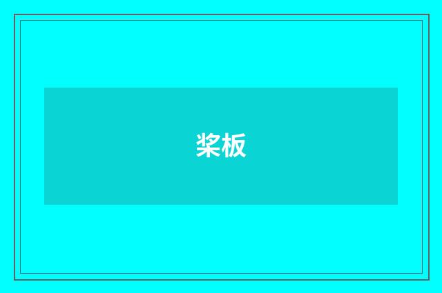 桨板