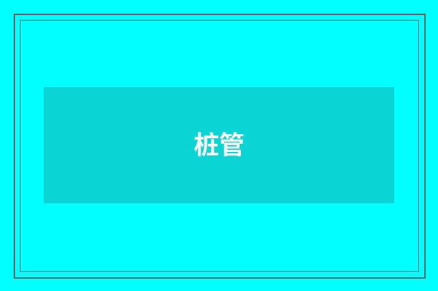 桩管