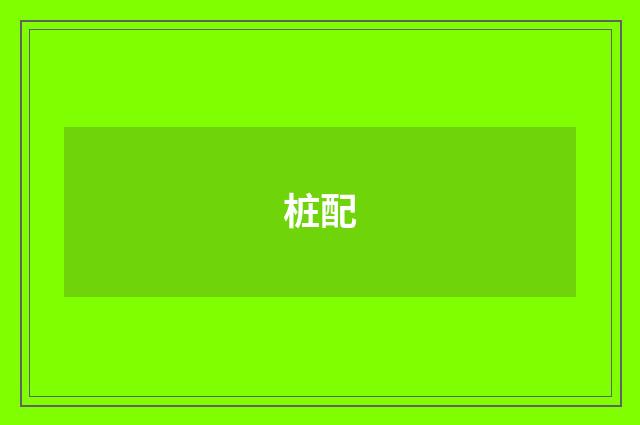 桩配