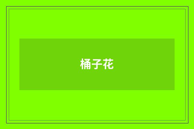 桶子花