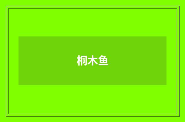桐木鱼