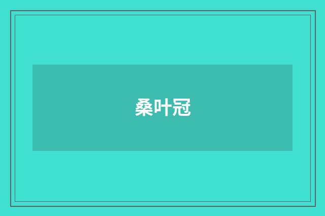 桑叶冠