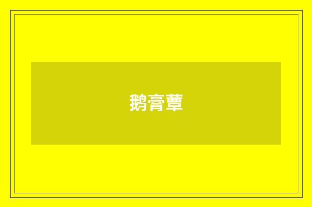 鹅膏蕈