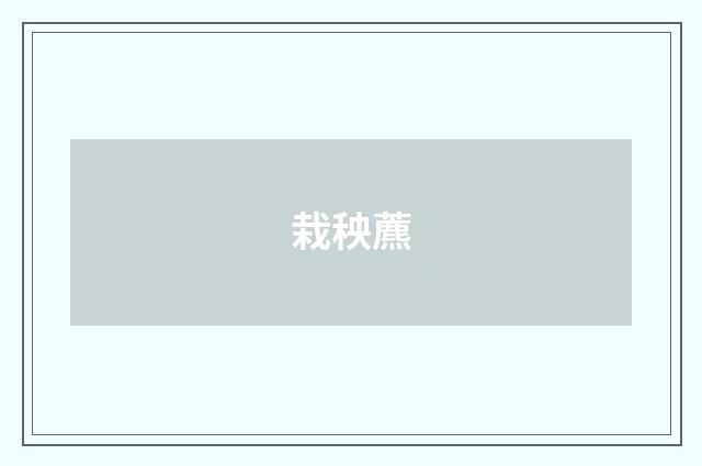 栽秧藨