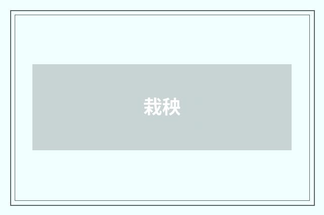 栽秧