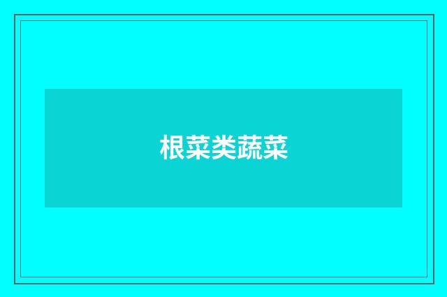 根菜类蔬菜