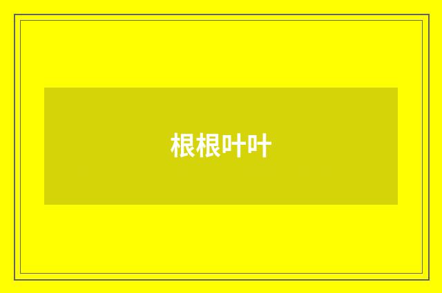 根根叶叶