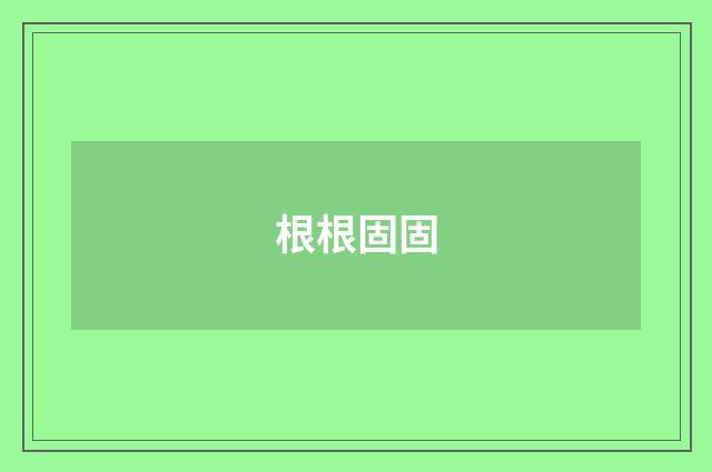 根根固固