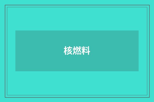 核燃料
