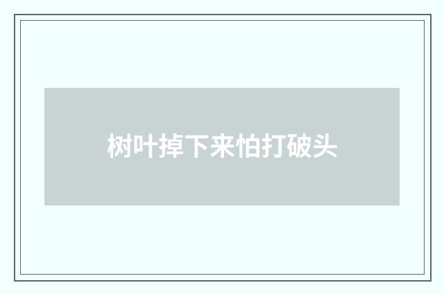 树叶掉下来怕打破头