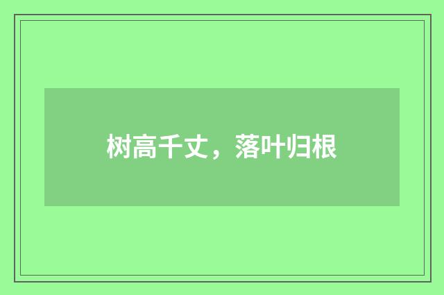 树高千丈，落叶归根