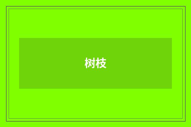 树枝
