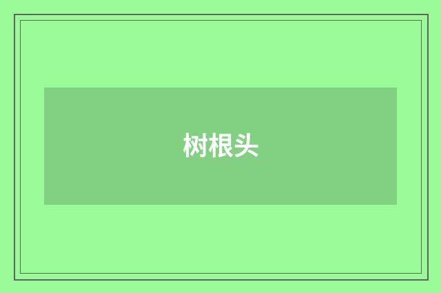 树根头