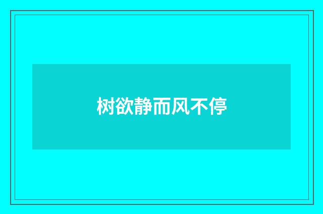 树欲静而风不停
