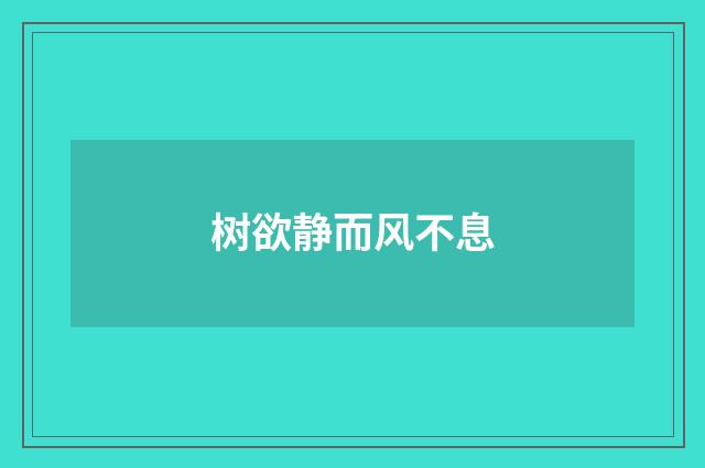树欲静而风不息