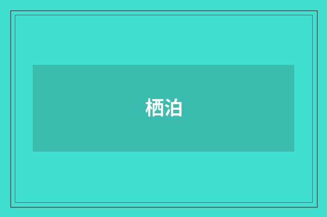 栖泊