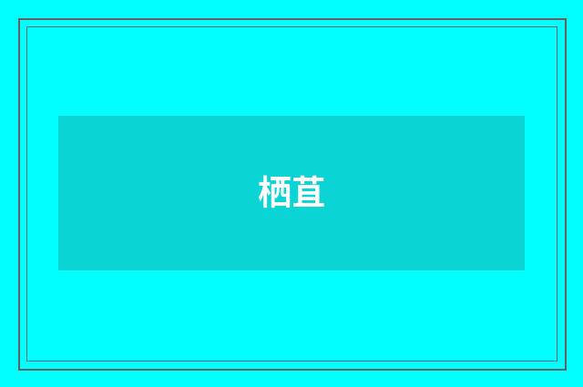 栖苴