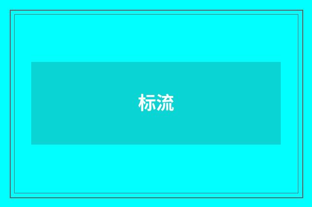 标流
