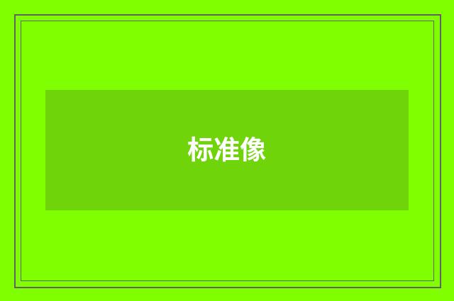 标准像
