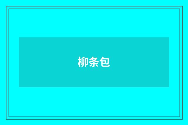 柳条包