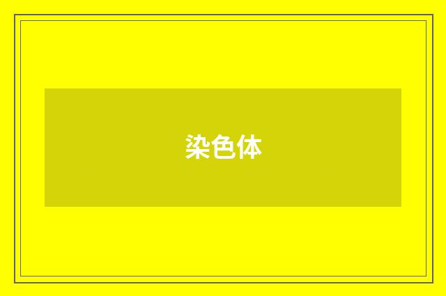 染色体