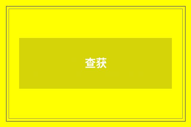 查获