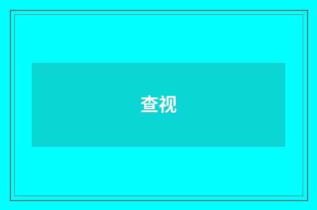 查视