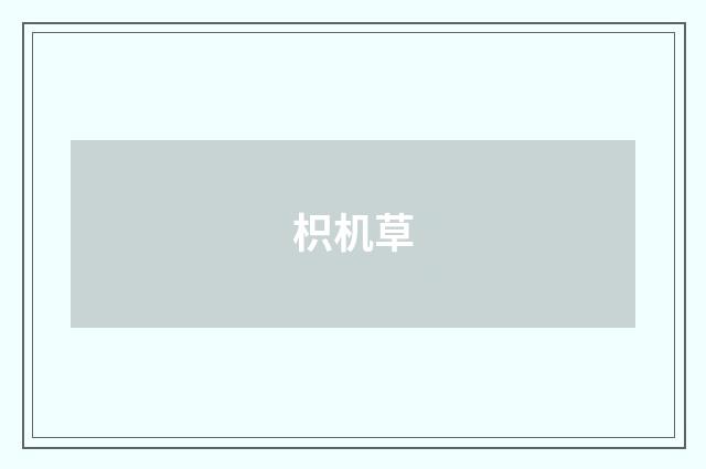 枳机草
